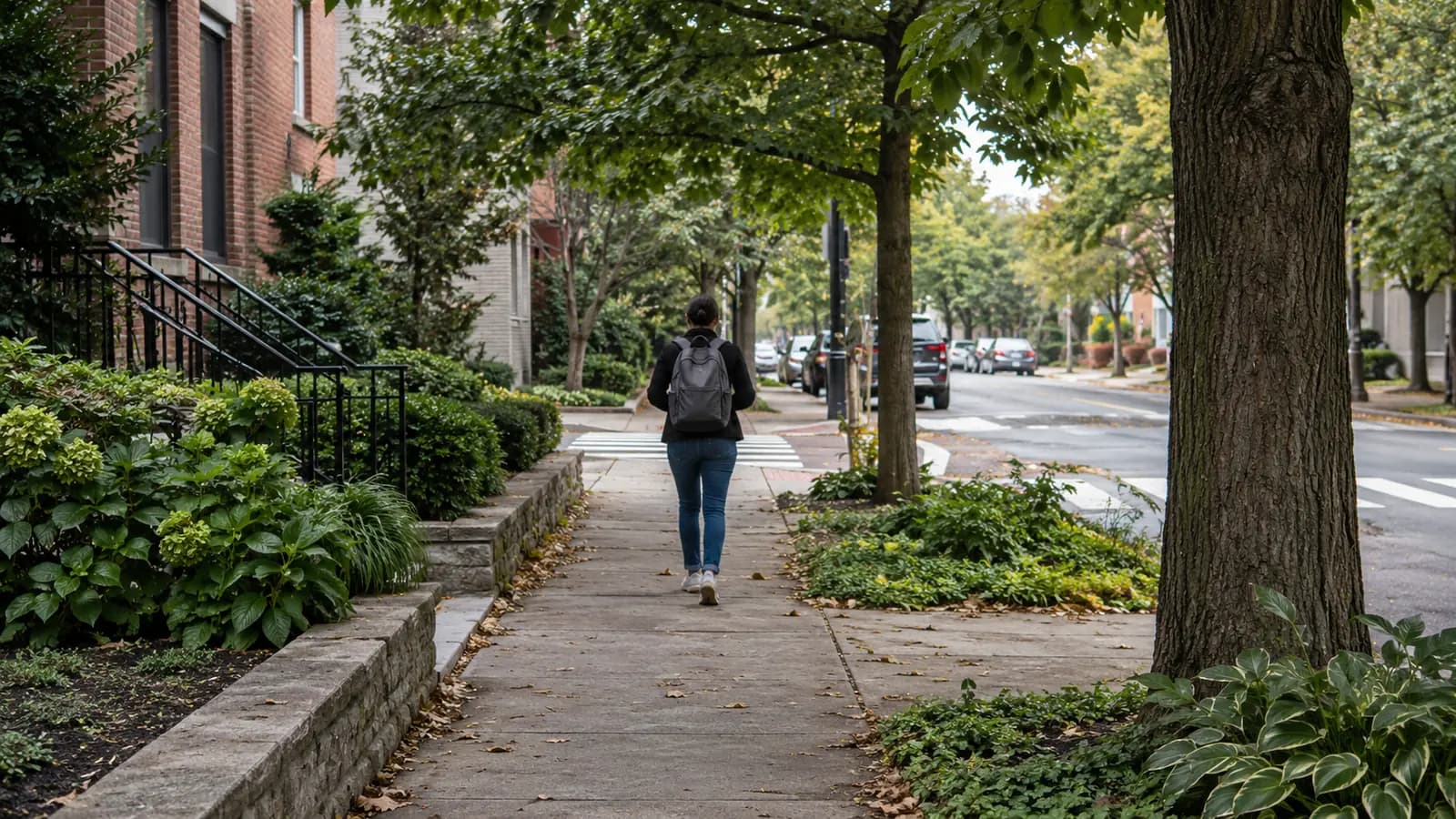 Downtown Stamford without a Car: Metro-North, CTtransit, and the Harbor Point Trolley from Hyatus